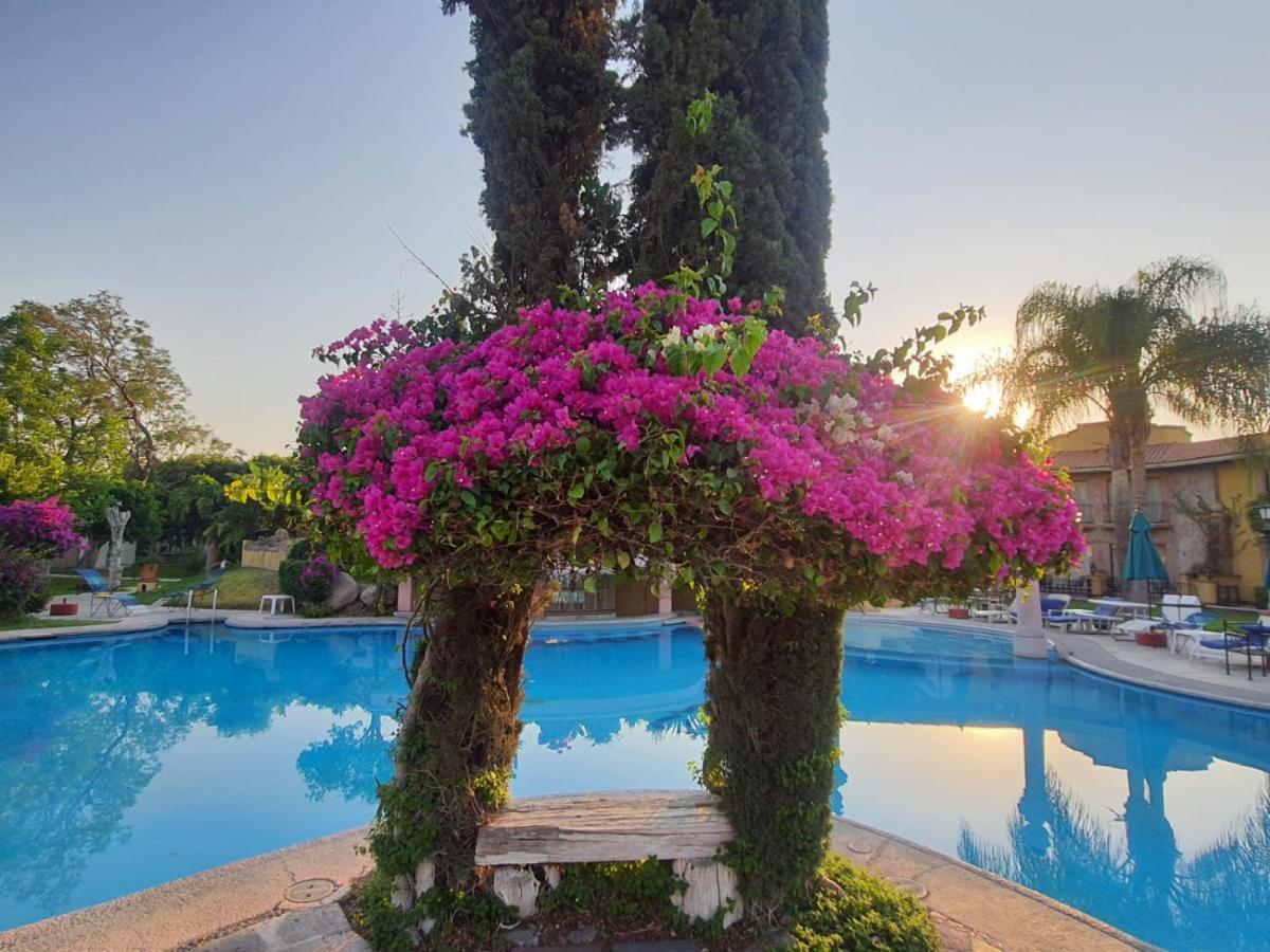 Gran Hotel Hacienda De La Noria Aguascalientes Ngoại thất bức ảnh Bougainvillea at the pool